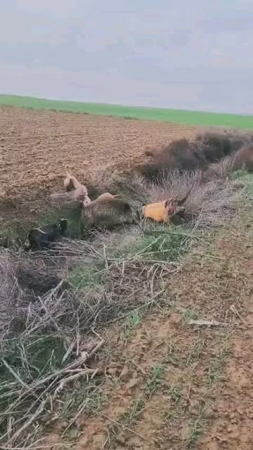 Urtain, en el terreno